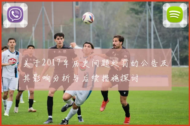 关于2017年历史问题处罚的公告及其影响分析与后续措施探讨