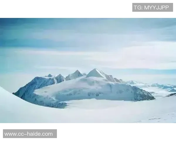 新赛季上海海港披冠军战袍再出发勇攀高峰续写辉煌传奇 新赛季上海海港披冠军战袍再出发勇攀高峰续写辉煌传奇